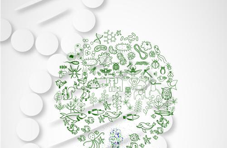 苏州瑞安生物科技扎根于医药行业